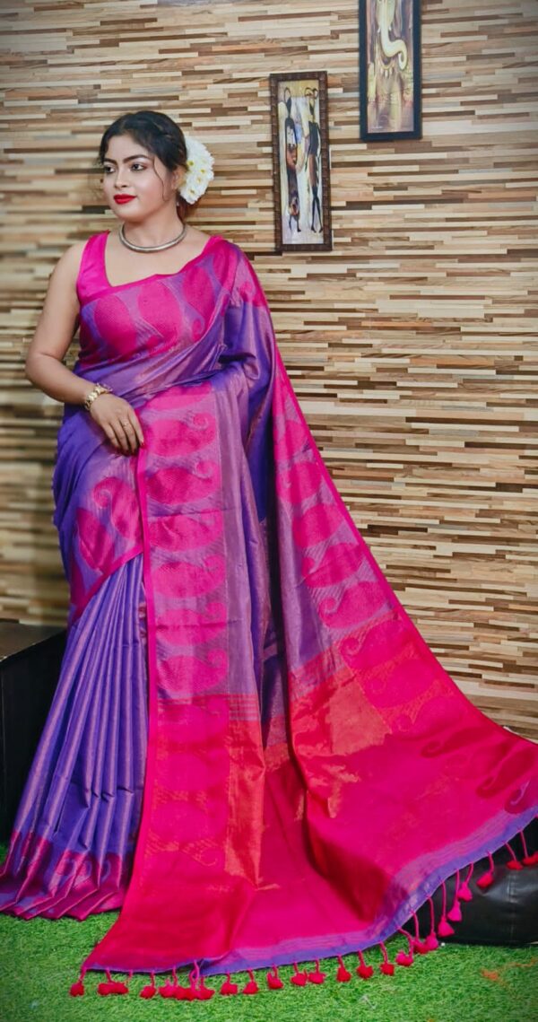 Exclusive Handloom Tissue Raga
